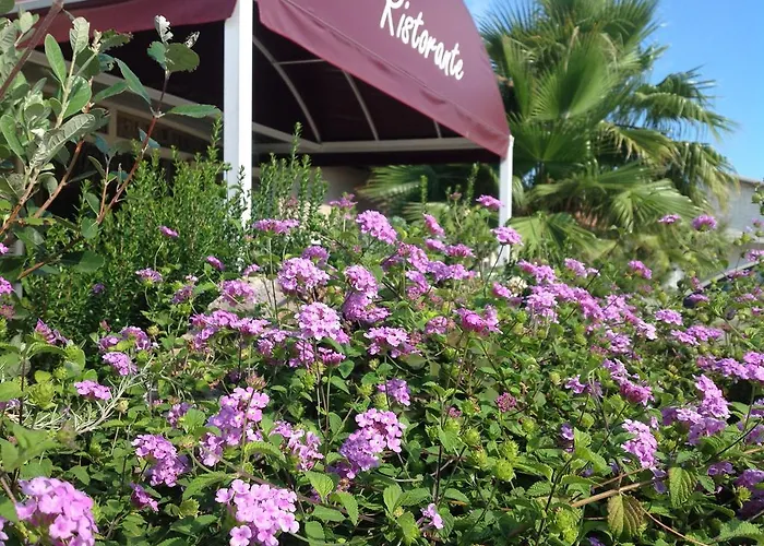 La Rosa Dei Venti Hotel Albinia